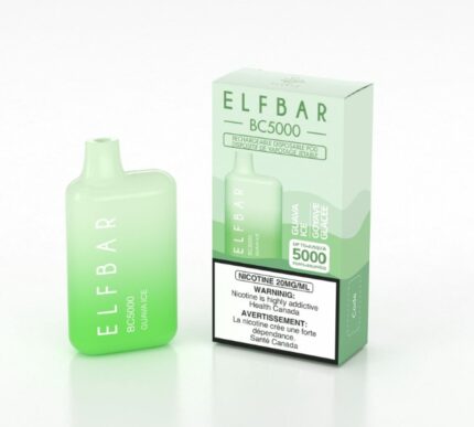 elfbar guava ice 5000 puffs