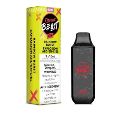 beast fruit flash 4000 puffs