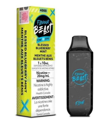 beast blessed blueberry mint 4000puffs