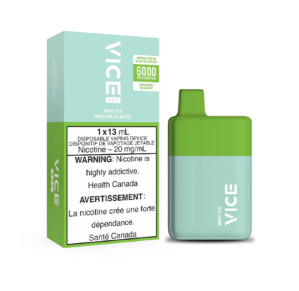 vice mint ice 6000 puffs 1x13mL