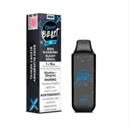 Beast boss blue berry 4000 puffs