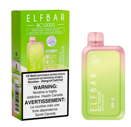 10k kiwi guava ice Elfbar disposable vape